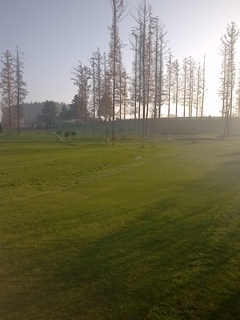 CAM00719.jpg